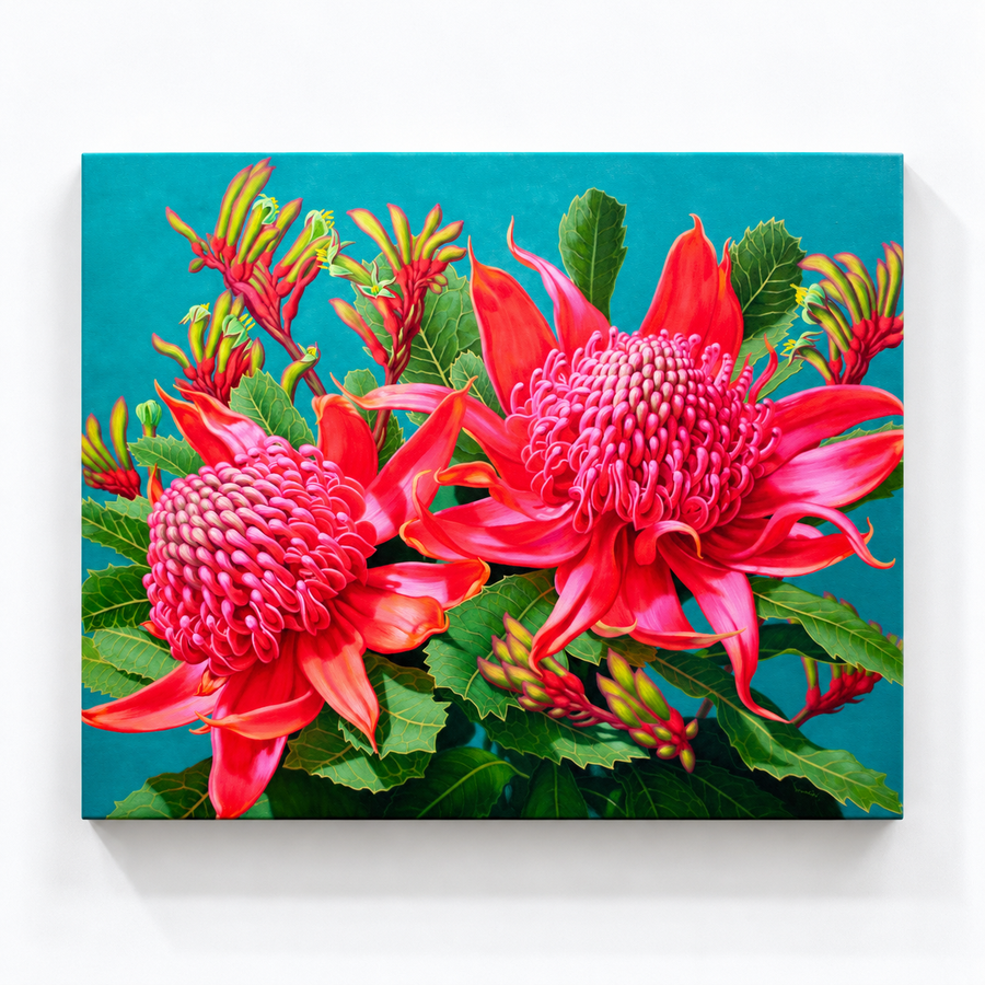 Waratahs, Blue Mountains, 2026