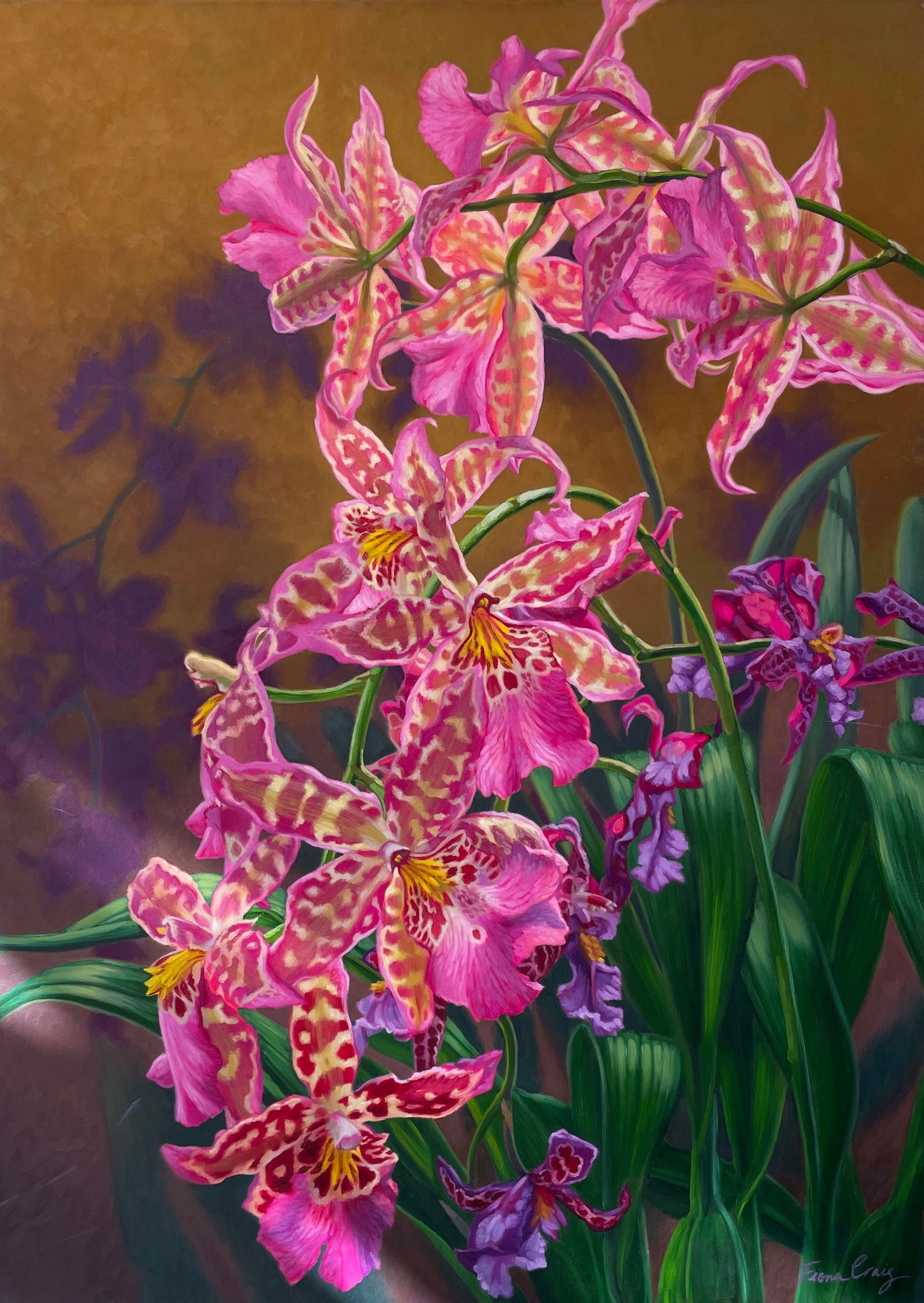 Orchid Fever 3, 2022