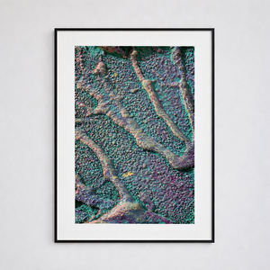 Macro #04, 2025