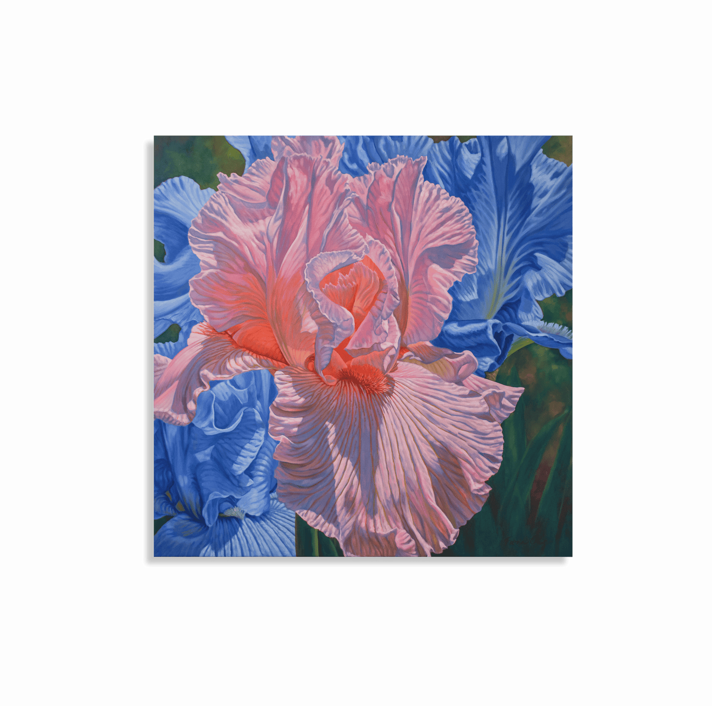 Floral Scape 1; Pink and Blue Irises, 2022