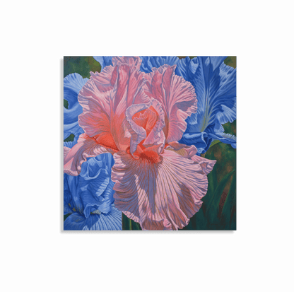 Floral Scape 1; Pink and Blue Irises, 2022