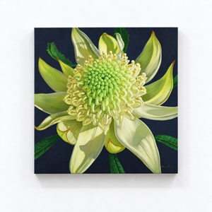 Green Waratah, 2024