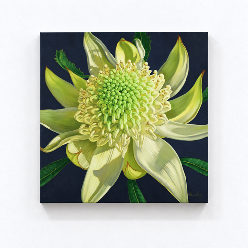 Green Waratah, 2024