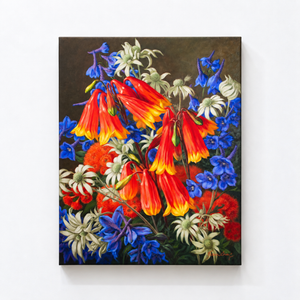 Blandfordia and Flannel Flowers, 2023