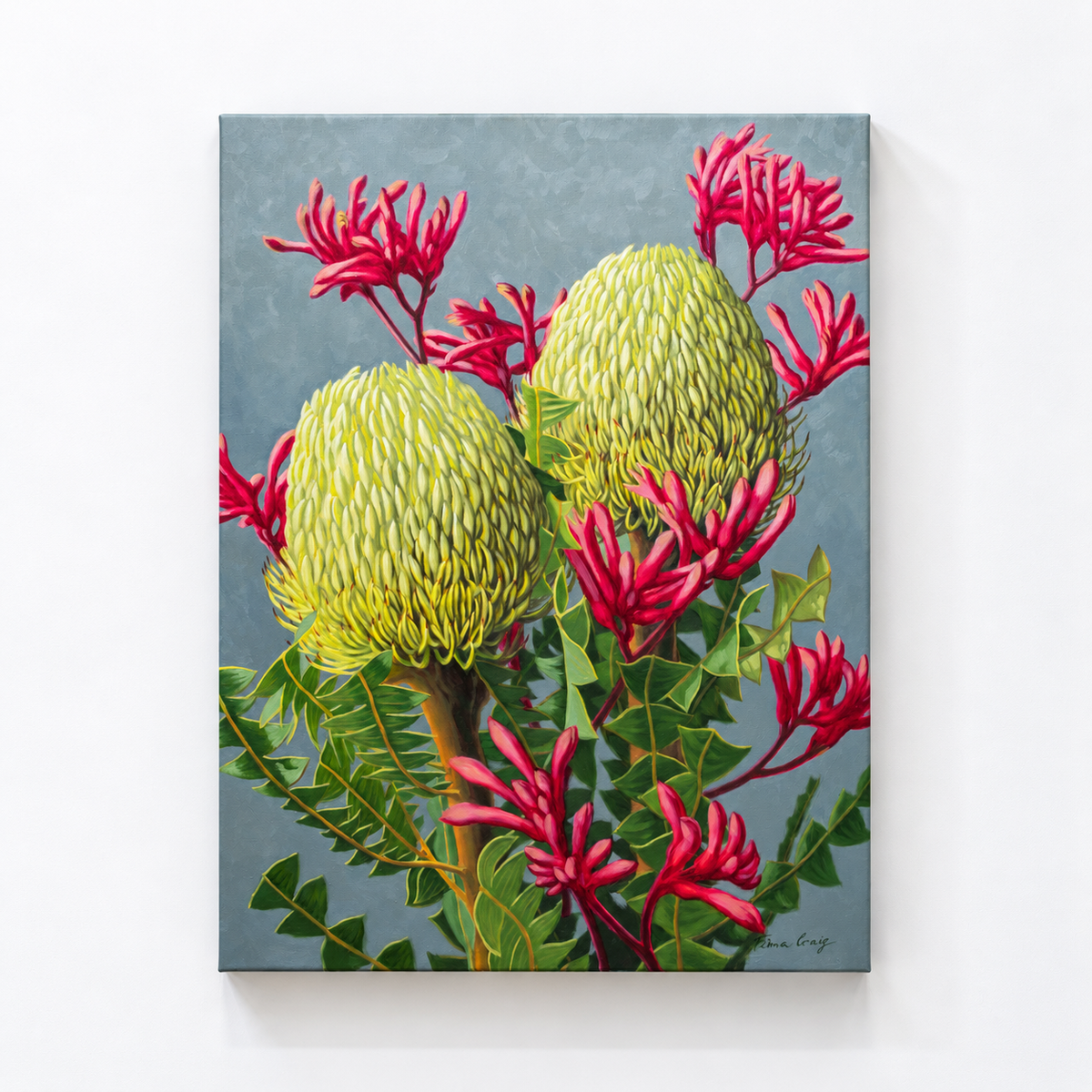 Banksias and Red Kangaroo Paw, 2024