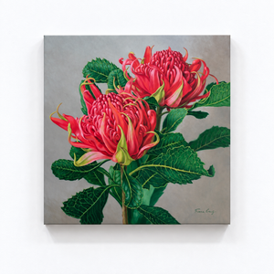 Red Waratahs