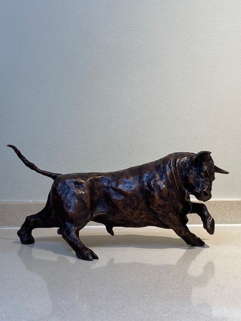 Bull Market, 2025 — alternate view