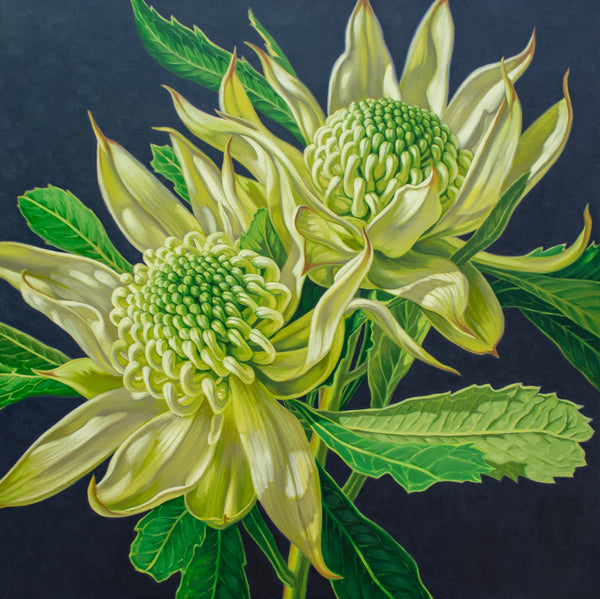 Green Waratahs on Indigo — alternate view
