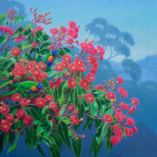 Lorikeets and Gumblossoms, Blue Mountains, 2024 — alternate view