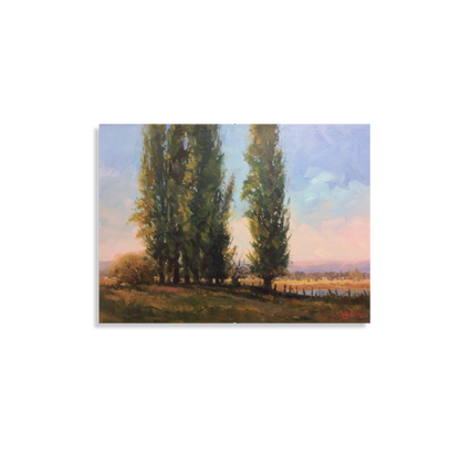 Poplars Tumut, 2020