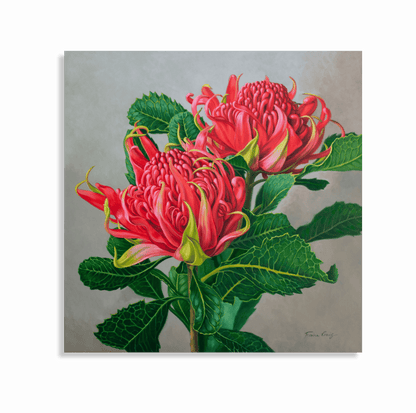 Red Waratahs