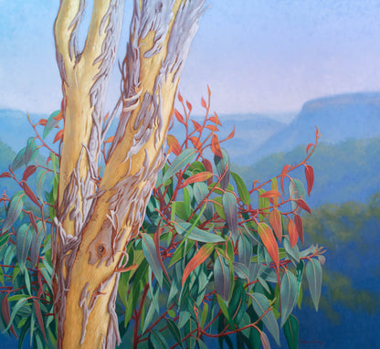 Rejuvenation, Blue Mountains, 2025