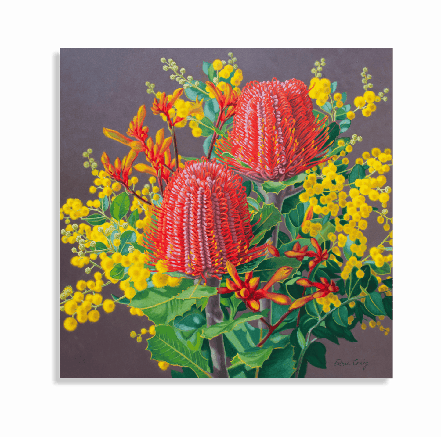 Scarlet Banksias and Wattle, 2, 2023