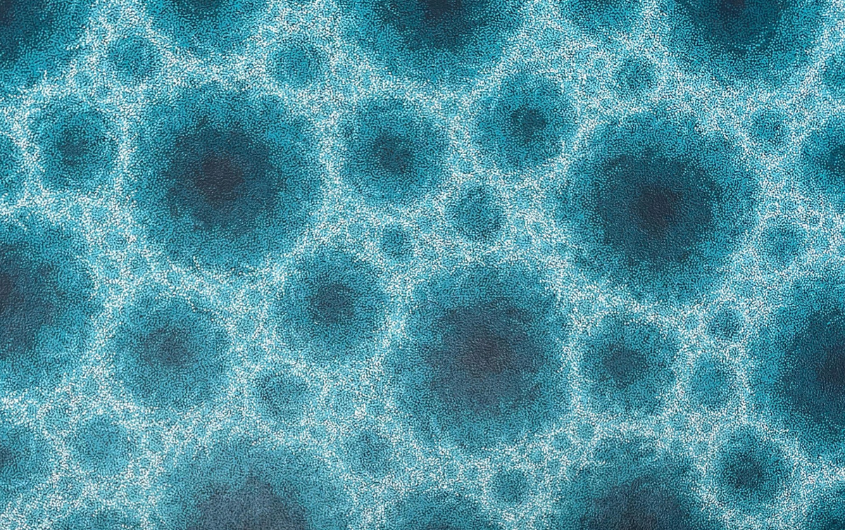Water, 2025
