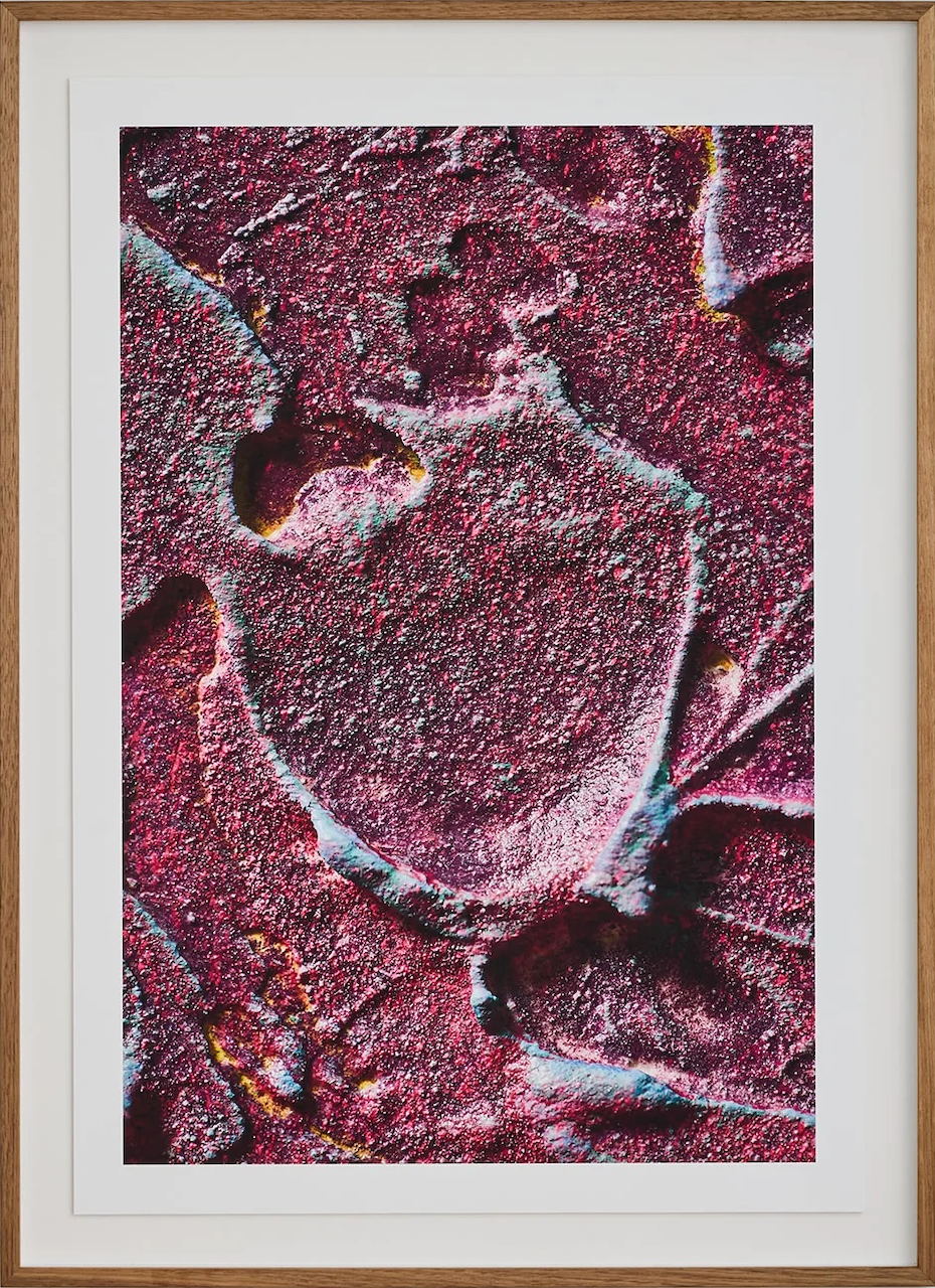 Macro #02, 2025