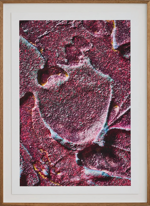 Macro #02, 2025