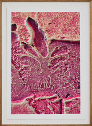 Macro #08, 2025
