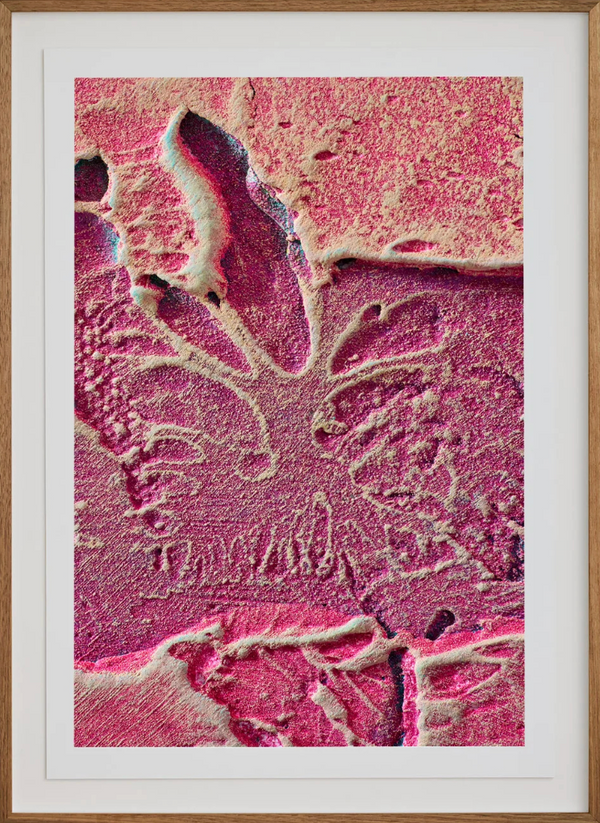 Macro #08, 2025 — alternate view