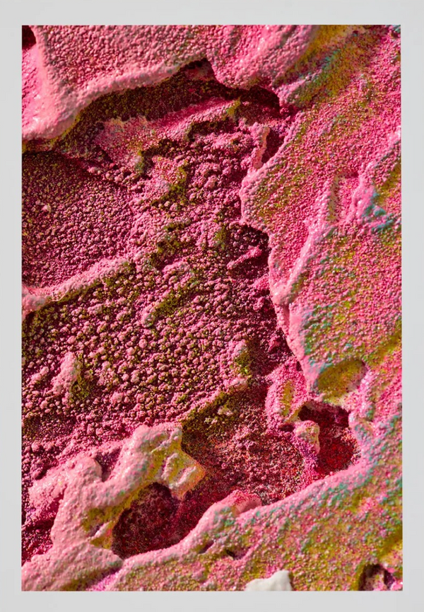 Macro #05, 2025 — alternate view