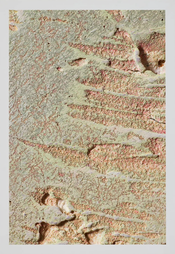 Macro #07, 2025 — alternate view