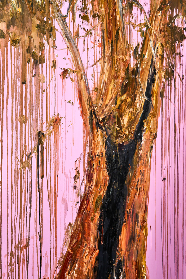 Sentinel 1 — alternate view