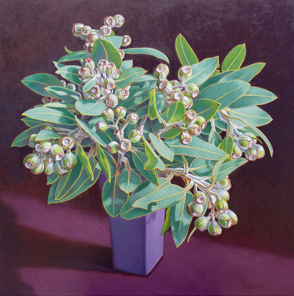 Tetragona Gumnuts, 2026 — alternate view