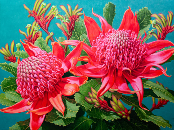 Waratahs, Blue Mountains, 2026 — alternate view