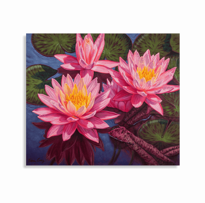 Water Lilies-1