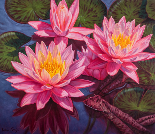 Water Lilies-1 — alternate view