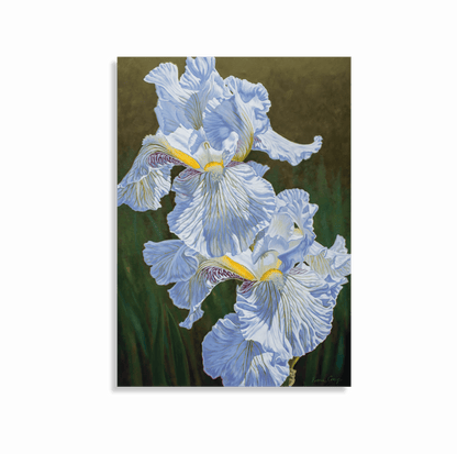 White Irises