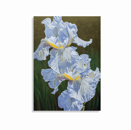 White Irises