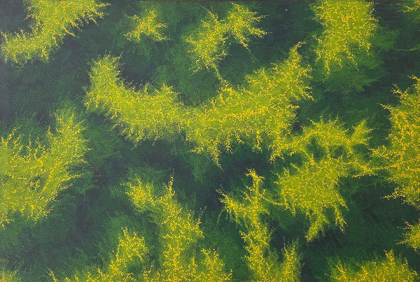 Bush, 2002 — alternate view