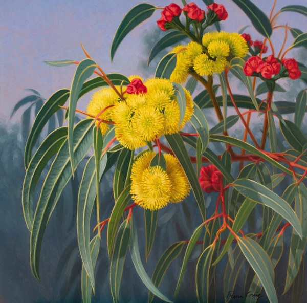 Yellow Gumblossoms — alternate view