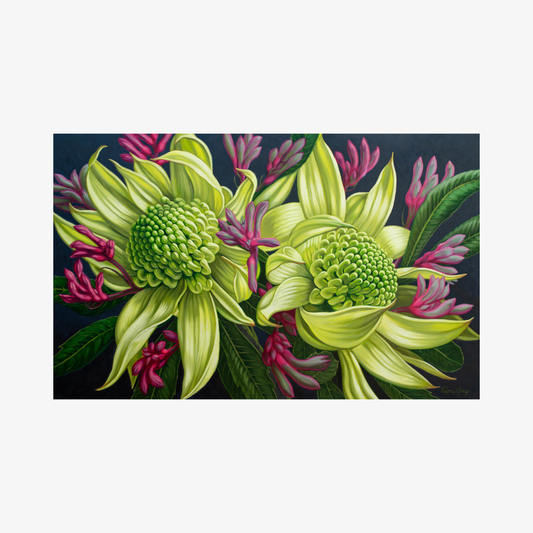 Green Waratahs and Pink Kangaroo Paws, 2025
