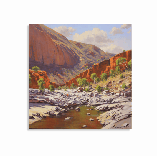 Ormiston Gorge Reflections., 2024