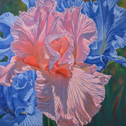 Floral Scape 1; Pink and Blue Irises, 2022