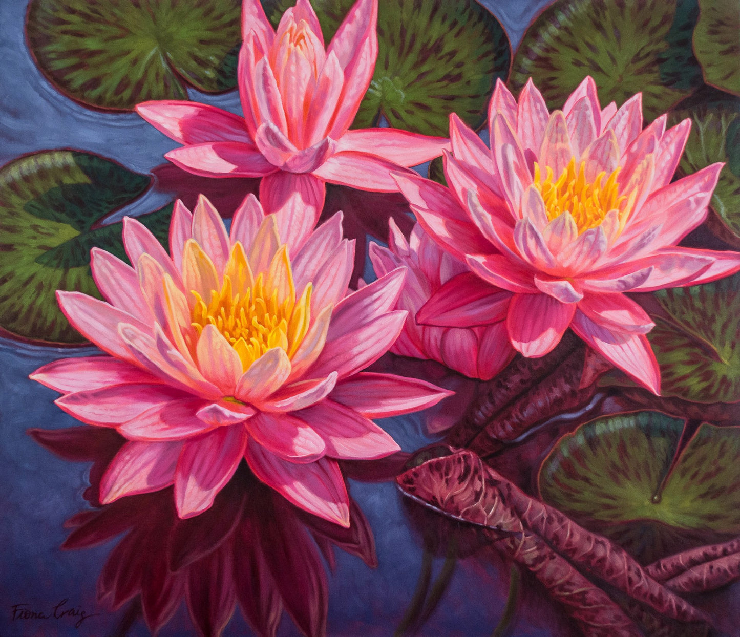 Water Lilies-1