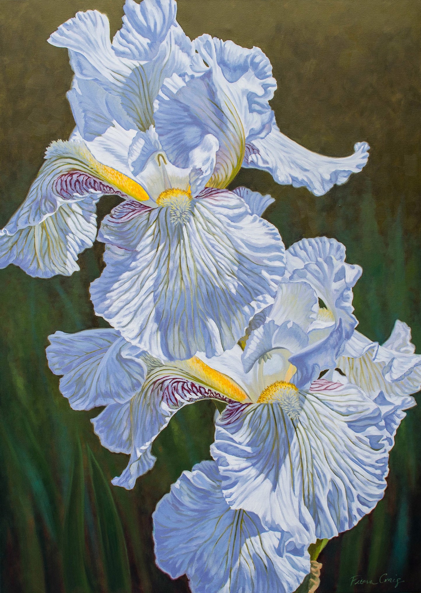 White Irises